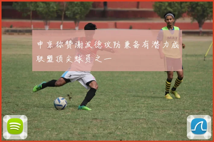 申京称赞谢泼德攻防兼备有潜力成联盟顶尖球员之一